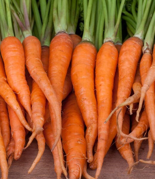 a pile of carrots