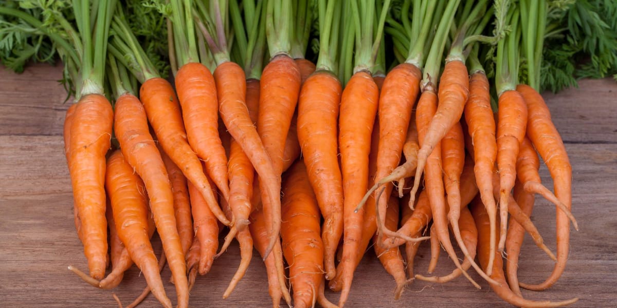 a pile of carrots
