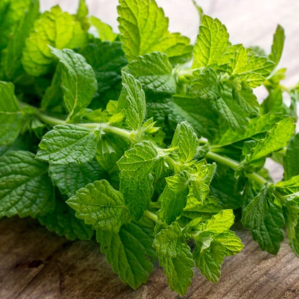 a bundle of mint on a table