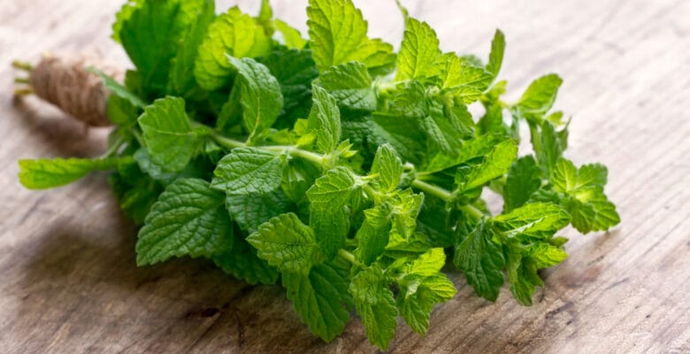 a bundle of mint on a table