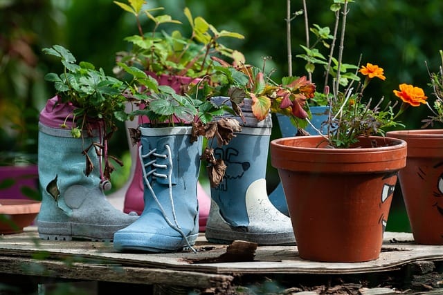 assorted plants in a variety of containers - pots with faces on them, old boots, etc. Proof you can get creative with container gardening