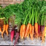 different types of carrots of various sizes and colors on a wood table