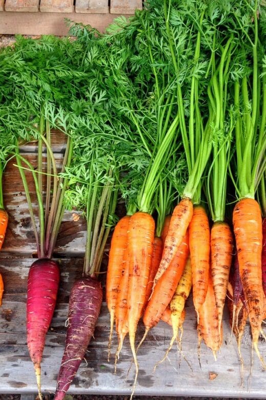 different types of carrots of various sizes and colors on a wood table
