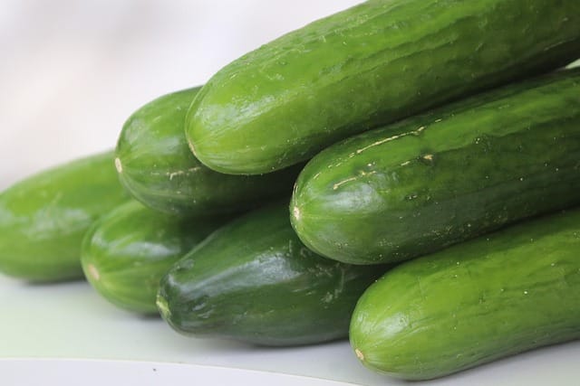 a pile of homegrown cucumbers