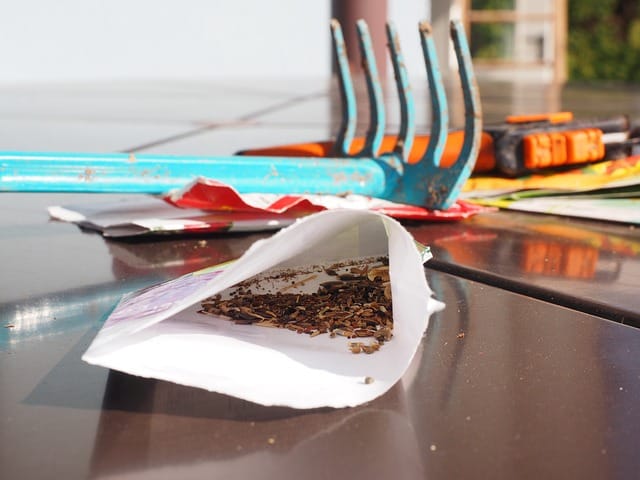 when to start seeds indoors