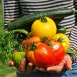 a person holding freshly harvested vegetables from their home garden