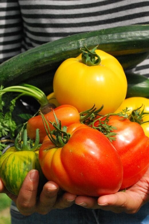 a person holding freshly harvested vegetables from their home garden