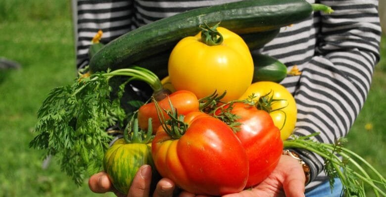 a person holding freshly harvested vegetables from their home garden