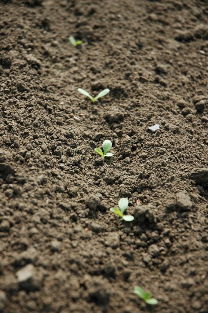 agriculture, sowing, field, earth, nature, agriculture, sowing, sowing, sowing, sowing, sowing, field, earth-1326353.jpg