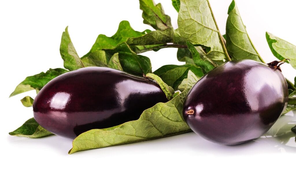 eggplant, aubergene, eggplant, nature, eggplant, eggplant, vegetables-1659784.jpg