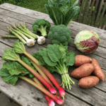 assorted nutrient-rich perennial vegetables on a table