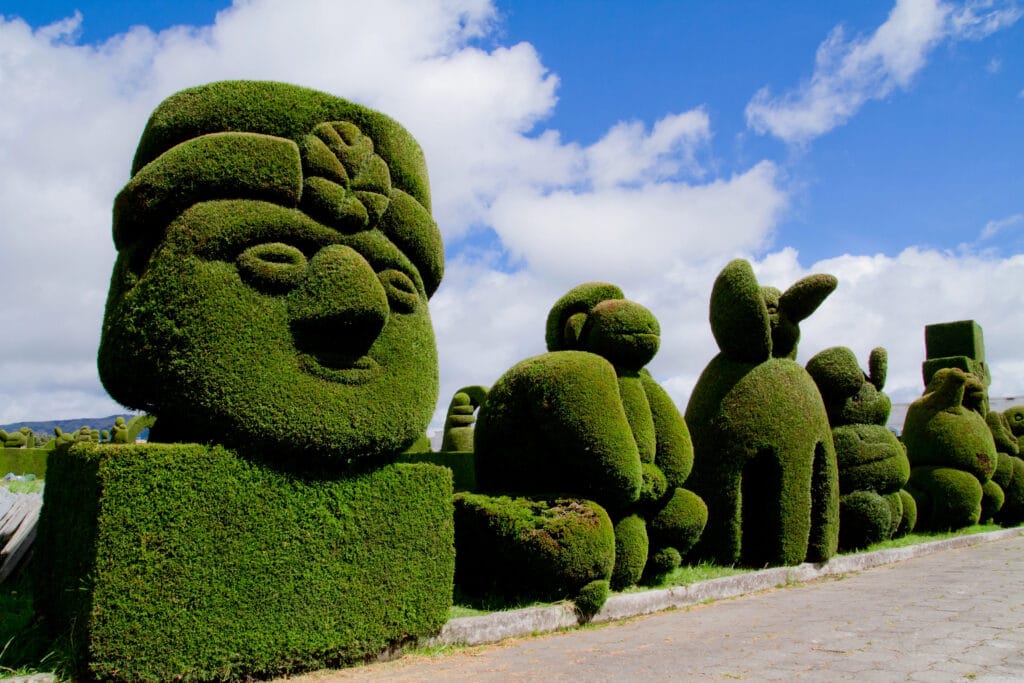 Sculpted trees topiary,