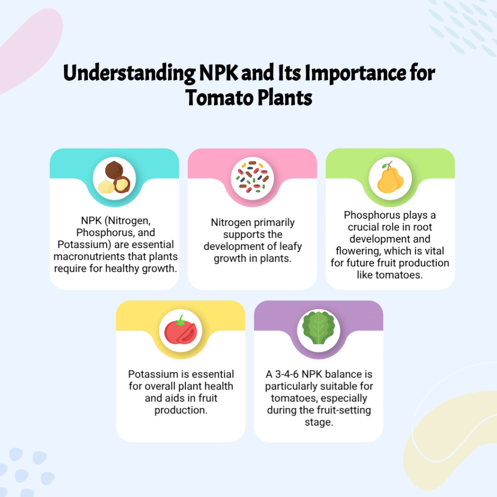 infographic showing what NPK is, it's role in natural tomato fertilizers, and why it matters to tomato plants