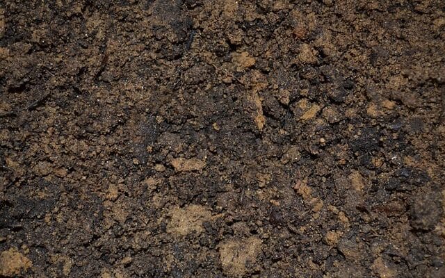 a picture of soil - hydrogen peroxide is a good garden soil sanitizer to ensure healthy soil for thriving plants