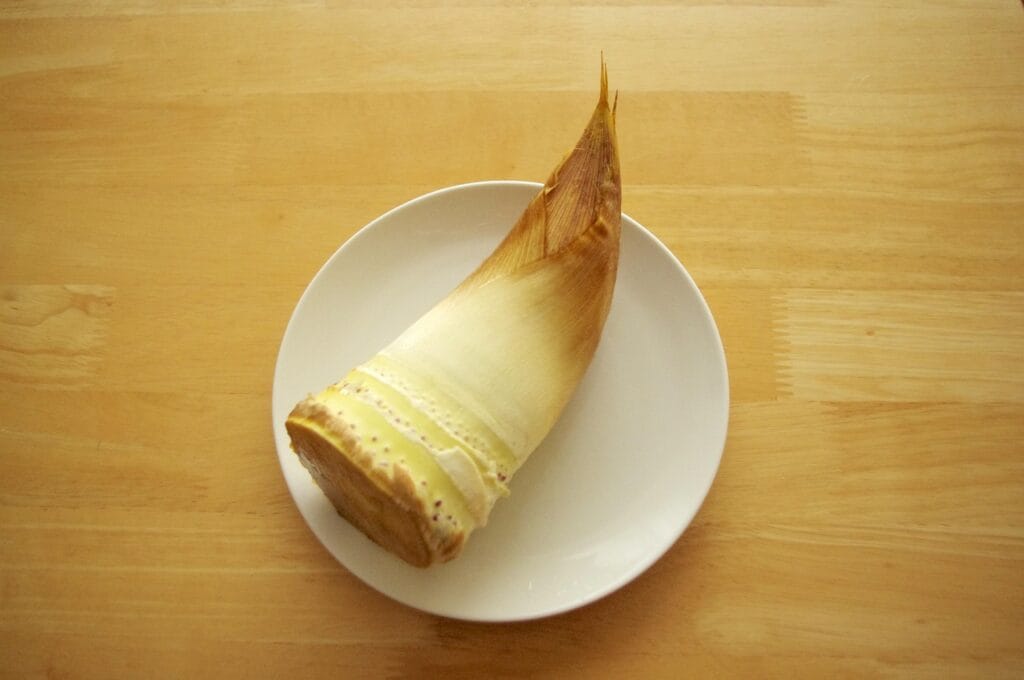 bamboo shoot, sprout, food, ingredient, eat, japanese, japan, nature, asian, asia, cook, cooking, tasty, vegetable, ingredients, vegetables, boiled, spring, seasonal, 筍, 春, 食材-4968949.jpg