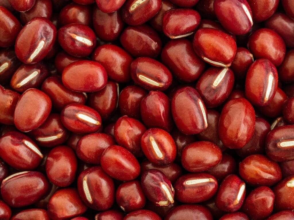 bean, leguminous plant, adzuki, foodstuffs, brown, red, food, healthy, dried, close up, adzuki, adzuki, adzuki, adzuki, adzuki-5178460.jpg