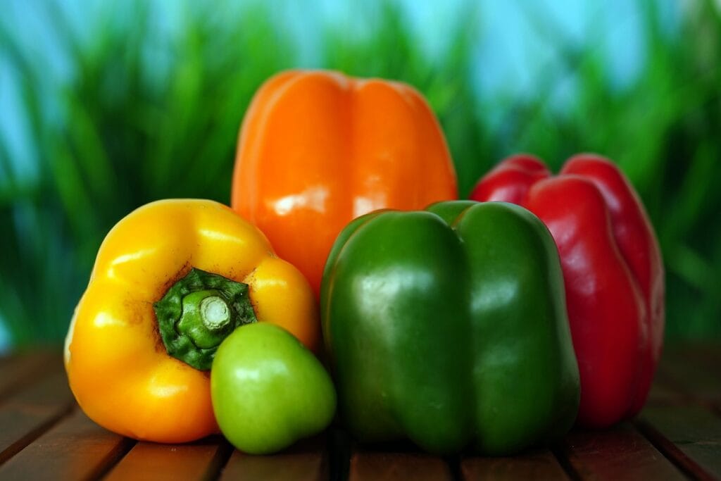 vegetables, bell pepper, organic, healthy, spicy, bell pepper, bell pepper, bell pepper, bell pepper, bell pepper-6677791.jpg