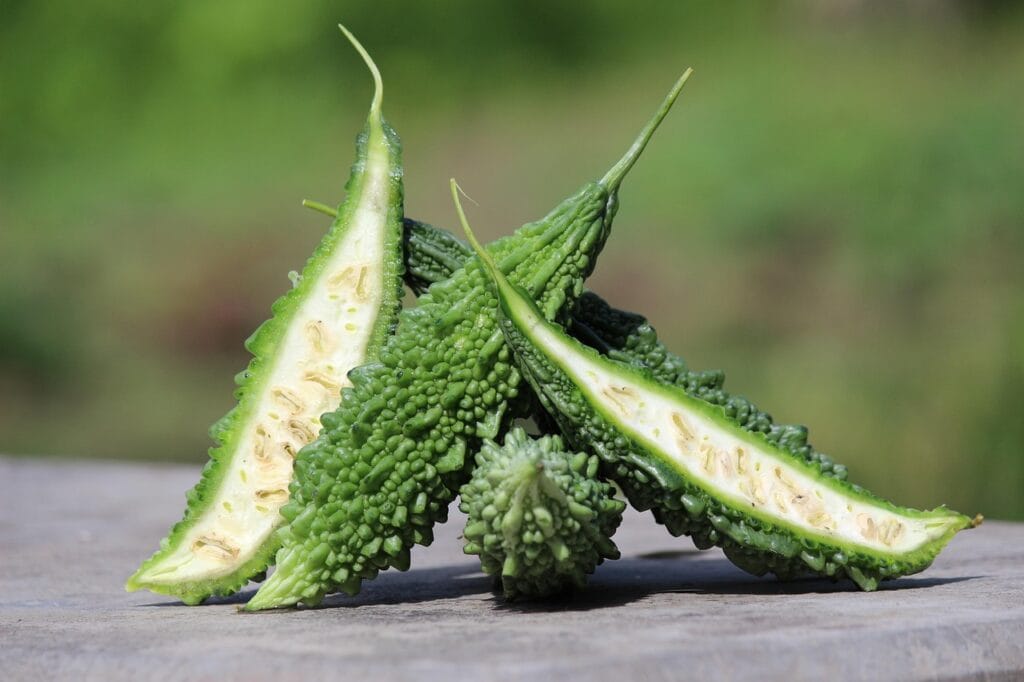 bitter gourd, vegetable, healthy, bitter melon, ingredient, harvest, bitter gourd, bitter gourd, bitter gourd, bitter gourd, bitter gourd, bitter melon-6534408.jpg