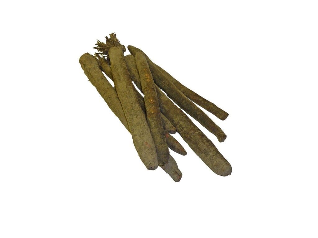 black salsify, root, ingredients, black salsify, black salsify, black salsify, black salsify, black salsify, root-1136.jpg