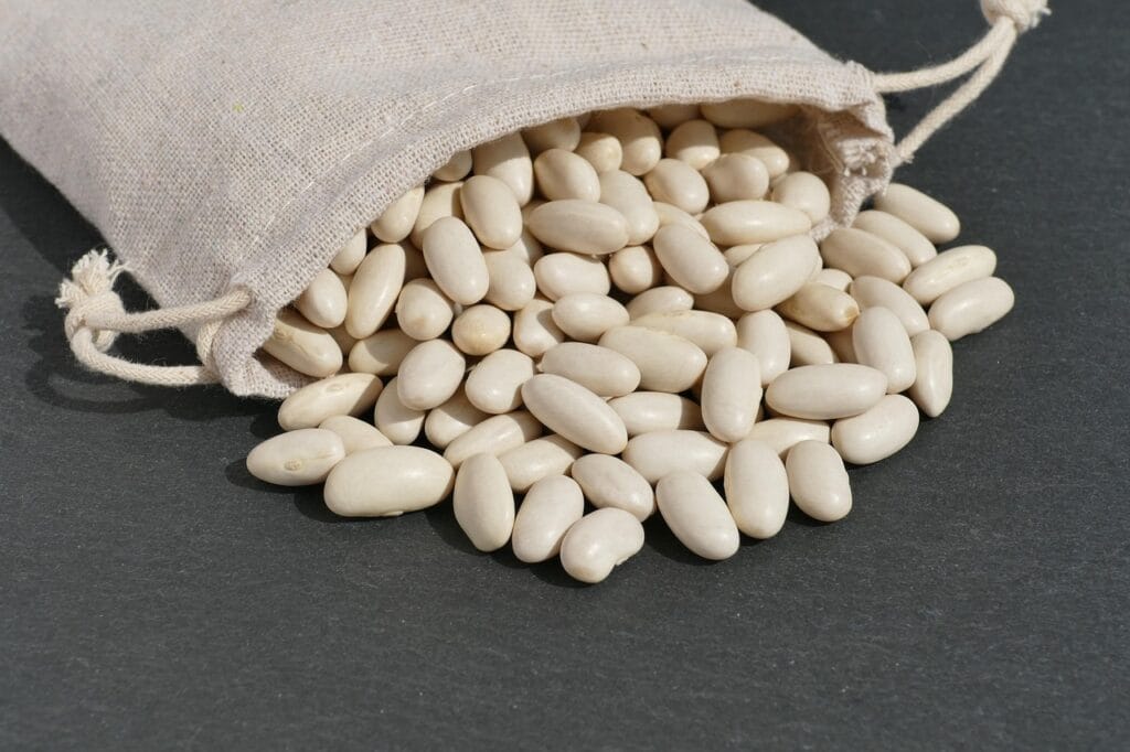 white beans, cannellini beans, bean seeds, legume, harvest, meal, nourishment, vegan, vegetarian, diet, dried, food, white beans, white beans, white beans, white beans, white beans-6571302.jpg